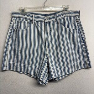 American Eagle Railroad Stripe Shorts Blue White 12